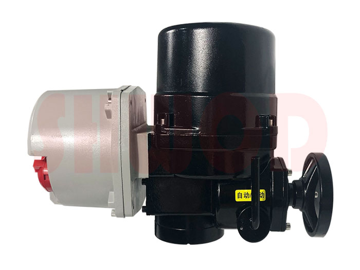 丝瓜视频免费观看执行器