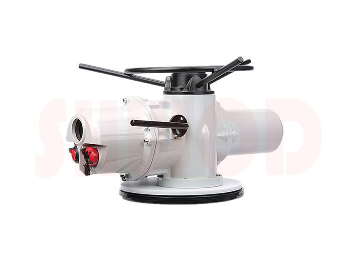 丝瓜视频免费观看执行器