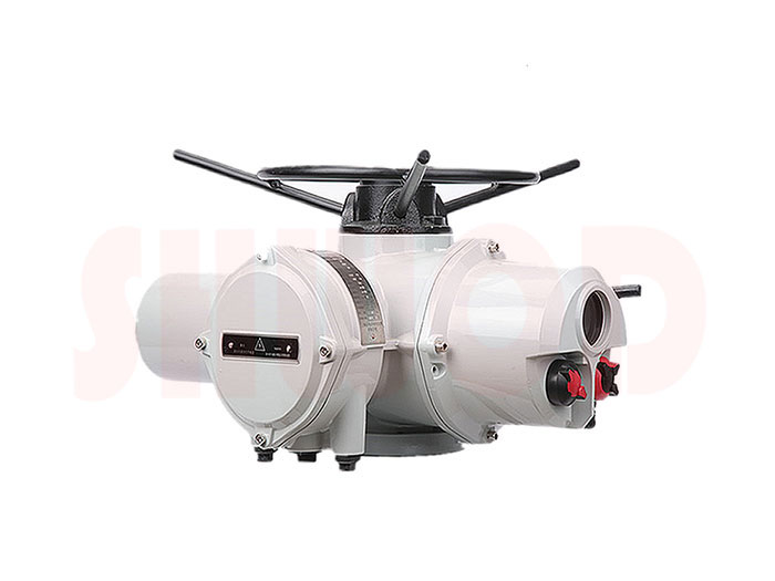 丝瓜视频免费观看执行器