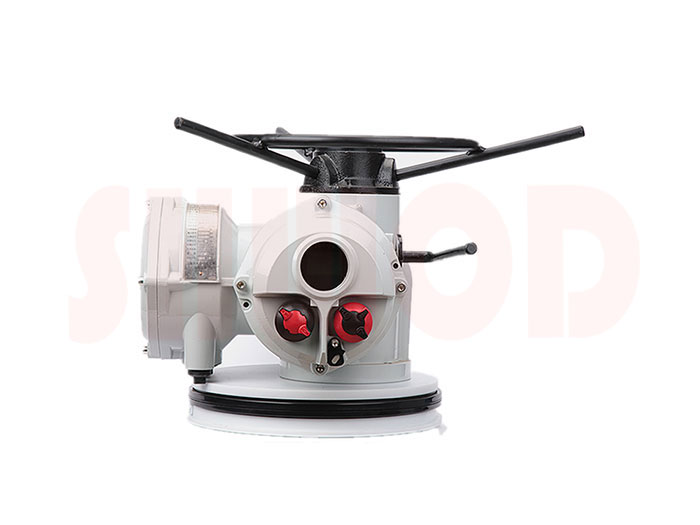 丝瓜视频免费观看执行器