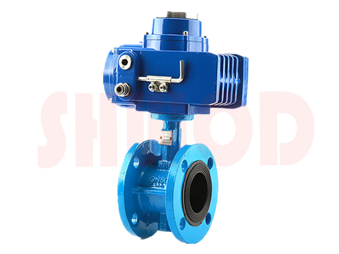 d丝瓜视频免费观看蝶阀