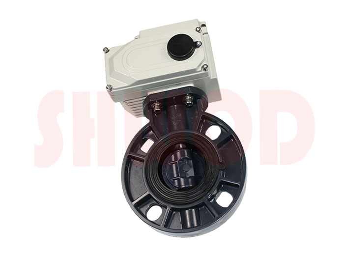 丝瓜视频免费观看蝶阀