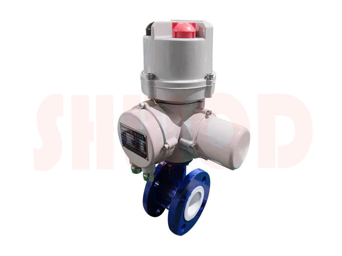 丝瓜视频免费观看蝶阀