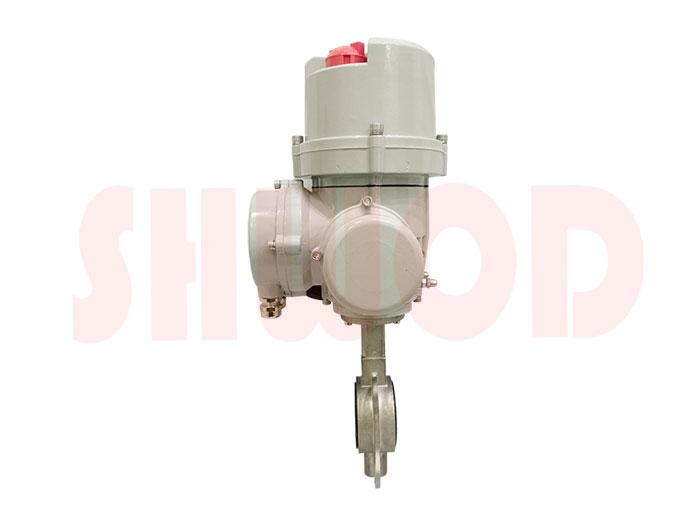 丝瓜视频免费观看蝶阀