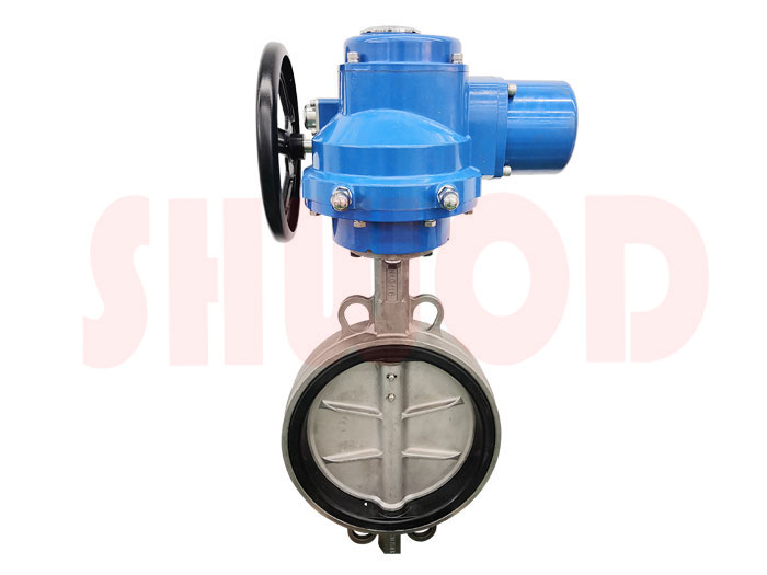 丝瓜视频免费观看蝶阀