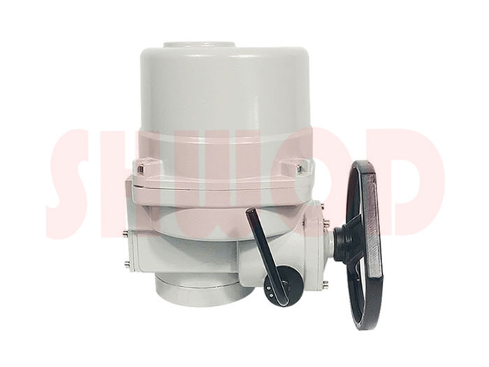 丝瓜视频免费观看执行器