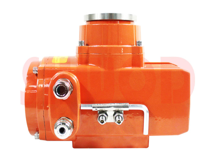 丝瓜视频免费观看执行器