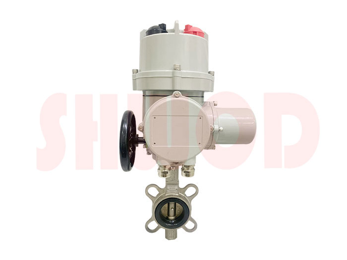 丝瓜视频免费观看蝶阀