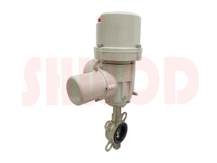 丝瓜视频免费观看蝶阀