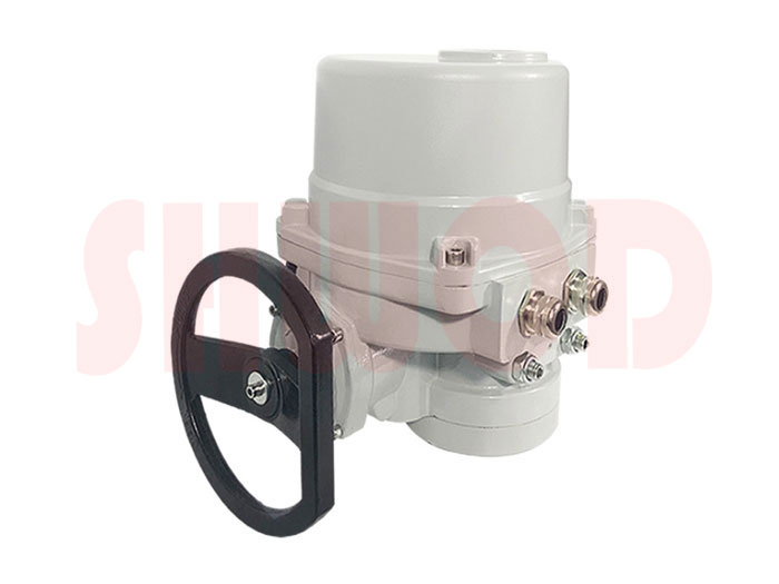 丝瓜视频免费观看执行器